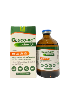 Gluco KC+ Thảo dược, trợ lực cấp tốc, Tăng cường sức đề kháng, Tiêu Viêm, Hạ Sốt, Hồi Sức