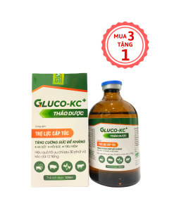 [ Mua 3 Tặng 1 ] GLUCO - KC+ trợ lực cấp tốc, hạ sốt, tiêu viêm, hồi sức, thú bệnh, thú suy nhược