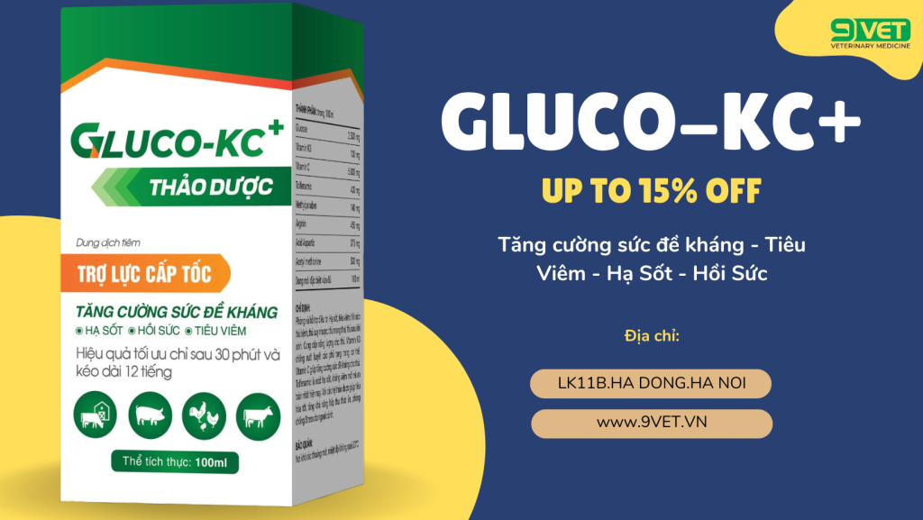 Khám Phá Cựa Gà Lông: Tất Tần Tật Về Chức Năng, Lựa Chọn và Bảo Dưỡng