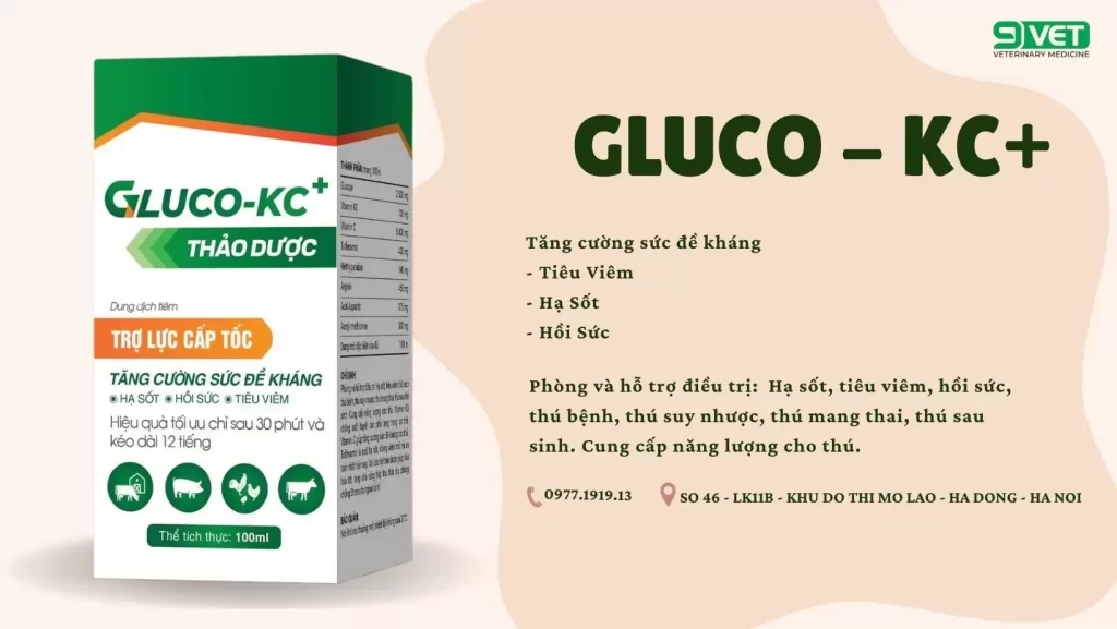 Bệnh Dịch Tả Ở Gà Thuốc Hỗ Trợ Đề Kháng