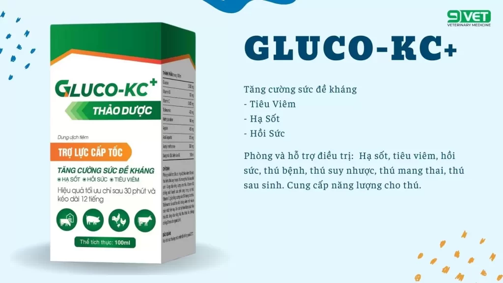 Bệnh Gumboro Ở Gà Thuốc Hỗ trợ Và Điều TRị