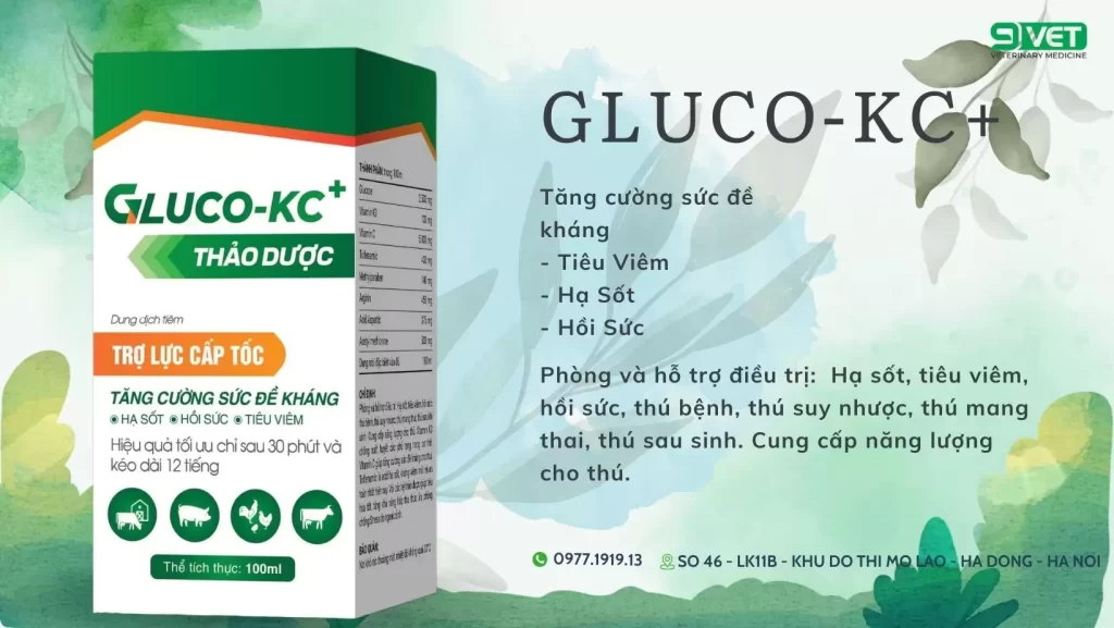 Bệnh Gumboro Và Thuốc Hỗ Trợ Điều Trị