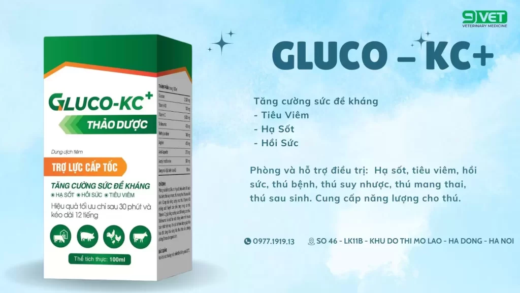 Các Loại Bệnh thường Gặp Ở Gà Con Thuốc Hỗ Trợ Đề Kháng