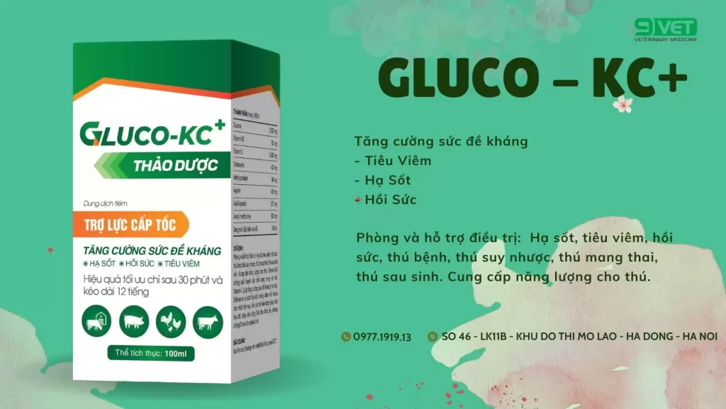 Các Loại Thuốc Kháng Sinh Cho Gà Con - Thuốc Hỗ Trợ Đề Kháng