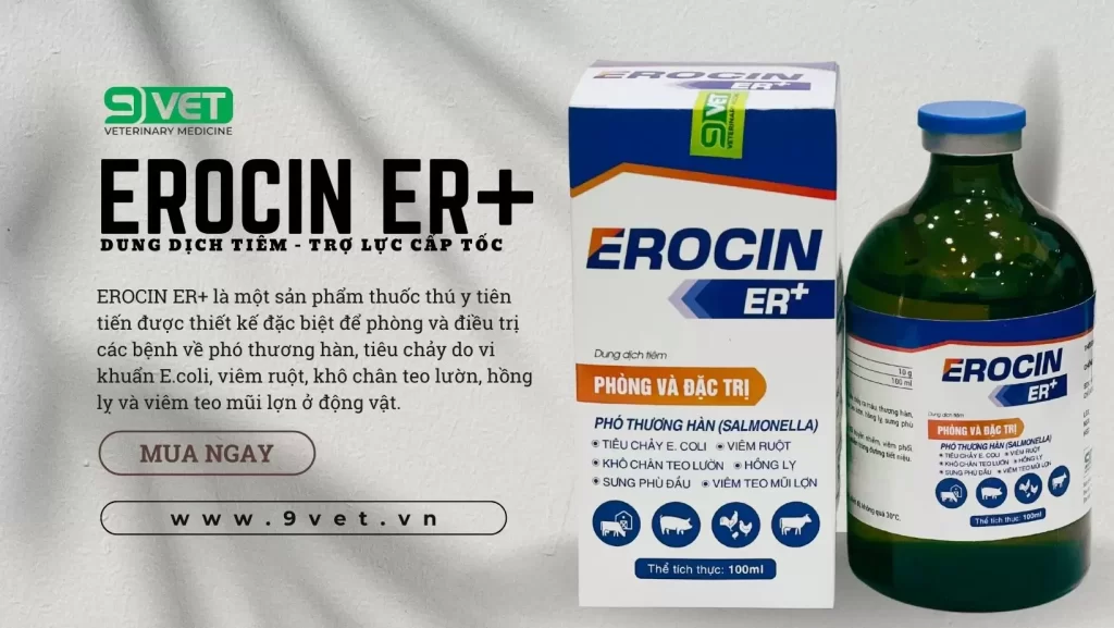 Erocin ER+ sản phẩm hỗ trợ điều trị bệnh ecoli ở lợn