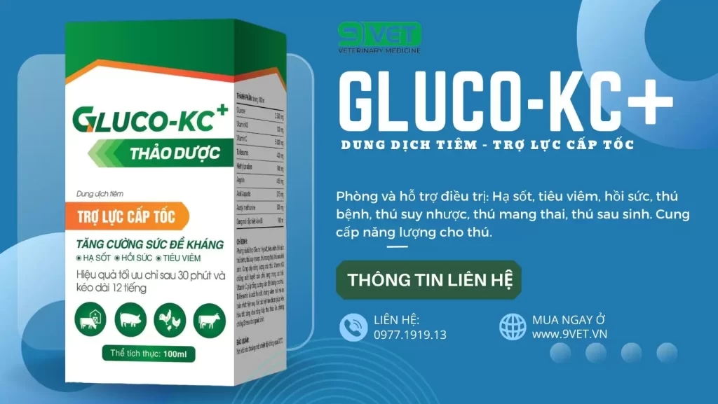 Giải ĐỘc Gan Thận Cho Gà- Thuốc Tăng Sức Đề Kháng Cho Vật Nuôi