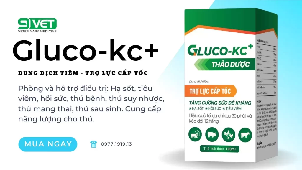 Giải Độc Gan Cho Gà- Thuốc Tăng Sức Đề Kháng Cho Vật Nuôi