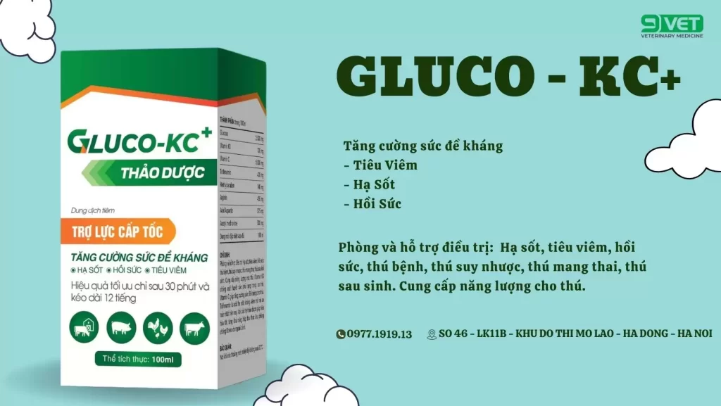 Gumboro Là Bệnh Gì - Thuốc Hỗ Trợ Đề Kháng