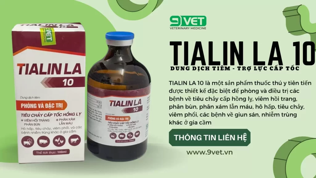 Tẩy Giun Cho Gà Bao Lâu Thì Thịt Được- Thuốc Tẩy Giun Sán Hiệu Quả