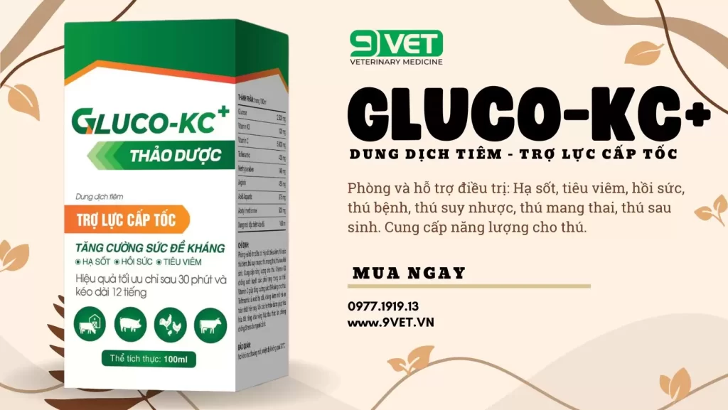 Thuốc bổ cho gà con mà bạn nên biết