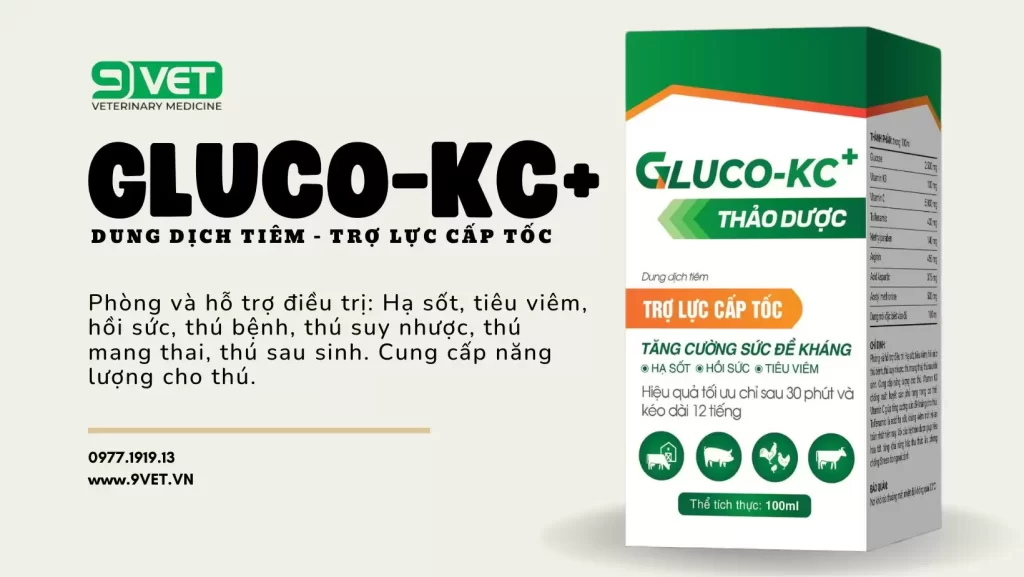 Gà Bị Bại Liệt- Thuốc Hỗ Trợ Tăng Sức Đề Kháng Cho Gà