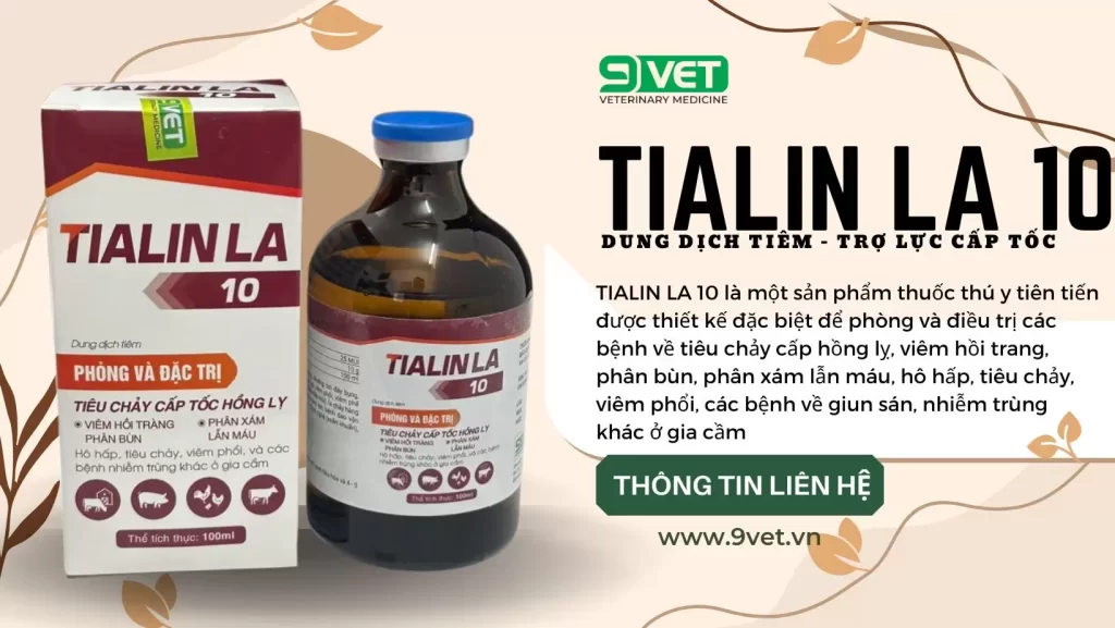 Thuốc Trị Bệnh Cầu Trùng Ở Gà