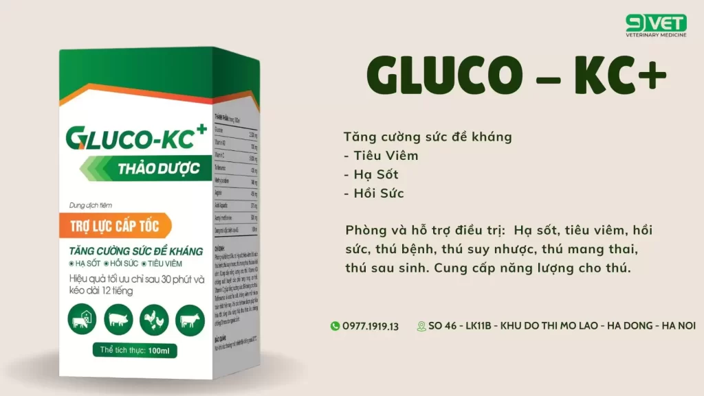 Triệu Chứng Bệnh Marek Ở Gà - Thuốc Tăng Sức Đề Kháng Cho Gà