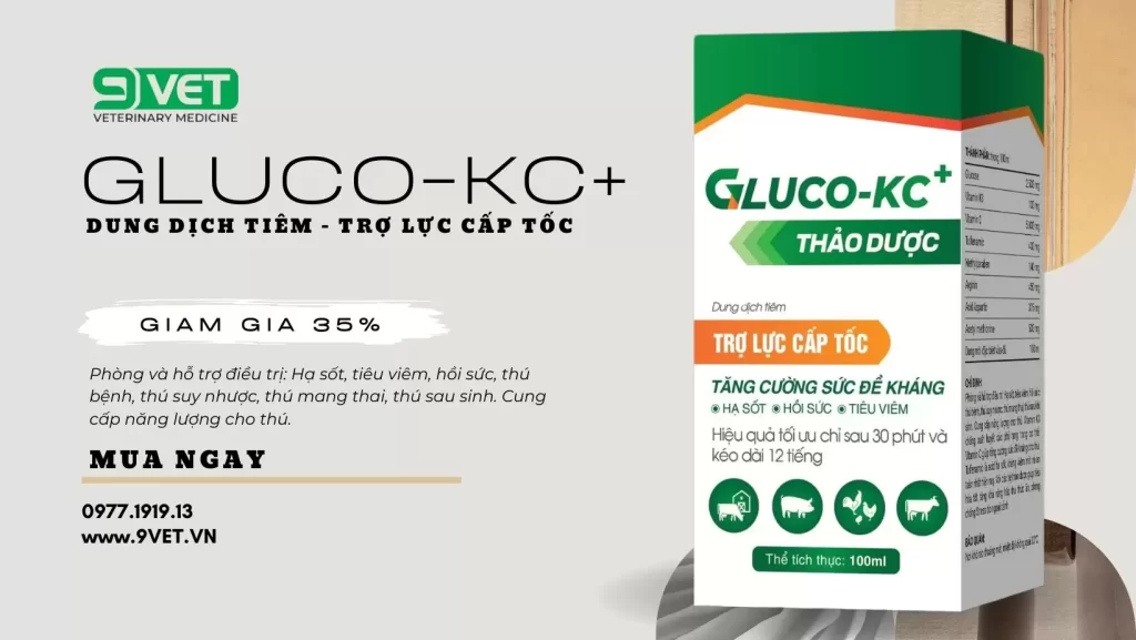 Thuốc Hỗ Trợ Tăng Sức Đề Kháng- Cách Chữa Mốc Cho Gà Chọi