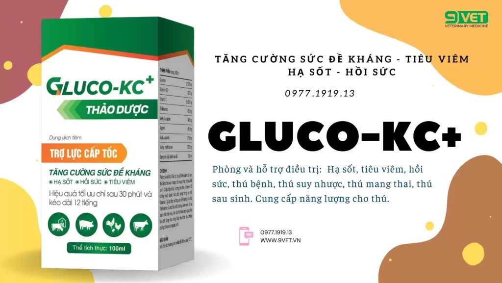 Thuốc Thú Y Tăng Lực Cho Gà- Thuốc Hỗ Trợ